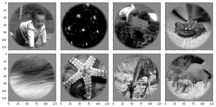 ../../_images/58e834172389113bdaed9caca05c23732ce154357e235f6fc54f841ee59d6e16.png